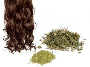 herbes pour shampoing pour cheveux colorés